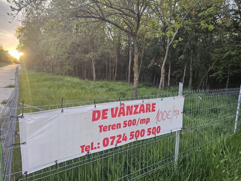 Mangalia, str. Ferdinand nr. 32, Jupiter.
